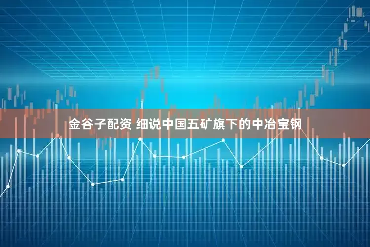 金谷子配资 细说中国五矿旗下的中冶宝钢