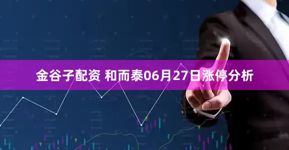 金谷子配资 和而泰06月27日涨停分析