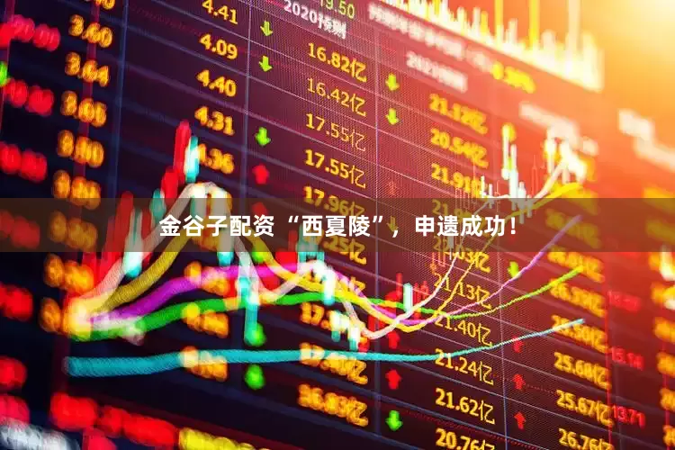 金谷子配资 “西夏陵”，申遗成功！