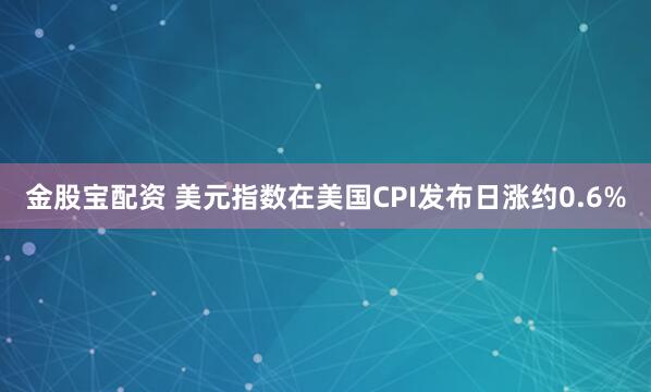 金股宝配资 美元指数在美国CPI发布日涨约0.6%
