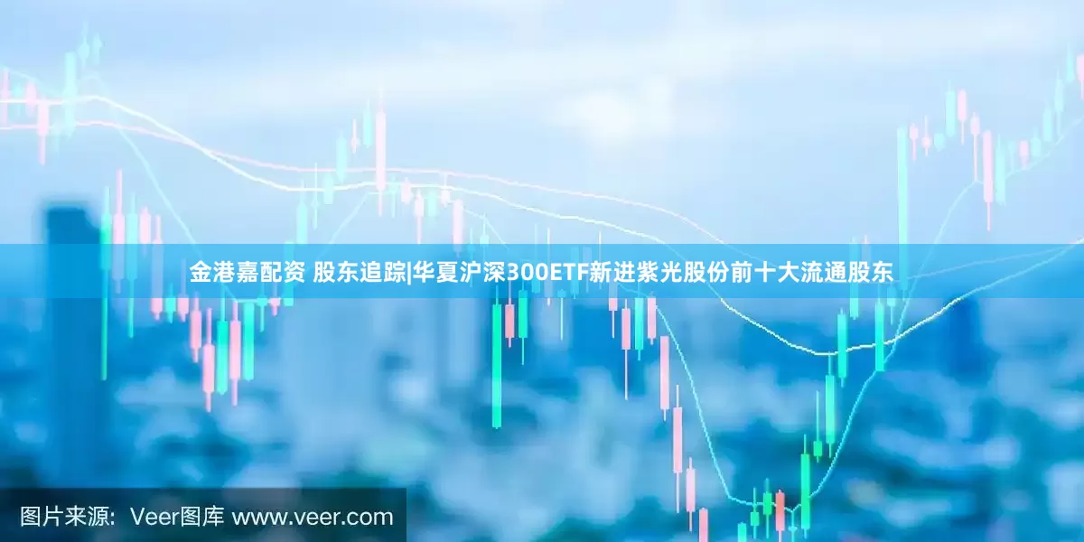 金港嘉配资 股东追踪|华夏沪深300ETF新进紫光股份前十大流通股东