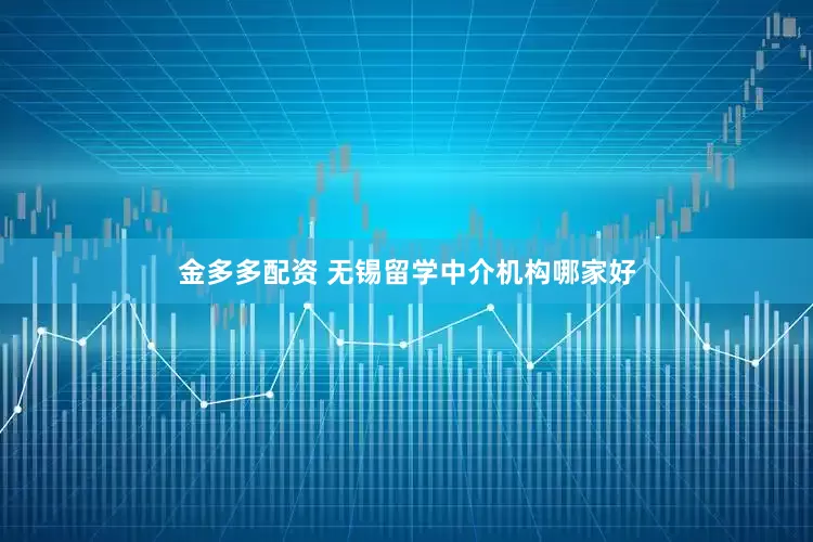 金多多配资 无锡留学中介机构哪家好