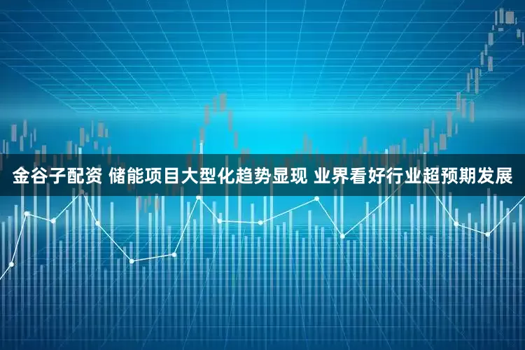 金谷子配资 储能项目大型化趋势显现 业界看好行业超预期发展