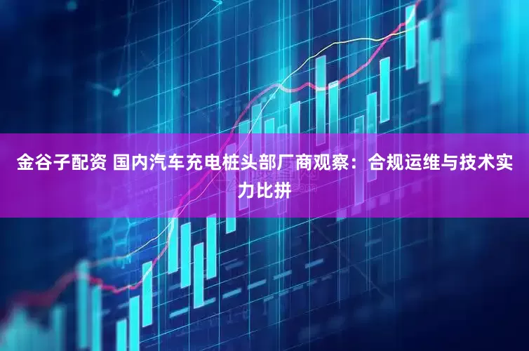 金谷子配资 国内汽车充电桩头部厂商观察：合规运维与技术实力比拼